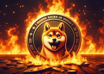 Shiba Inu burn