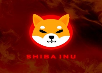 Shiba inu