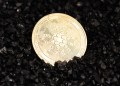 Cardano price