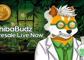 New Shiba Inu (SHIB) Presale Rival Surges 300%, SHIB investors join