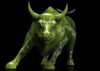 Bitcoin Bull