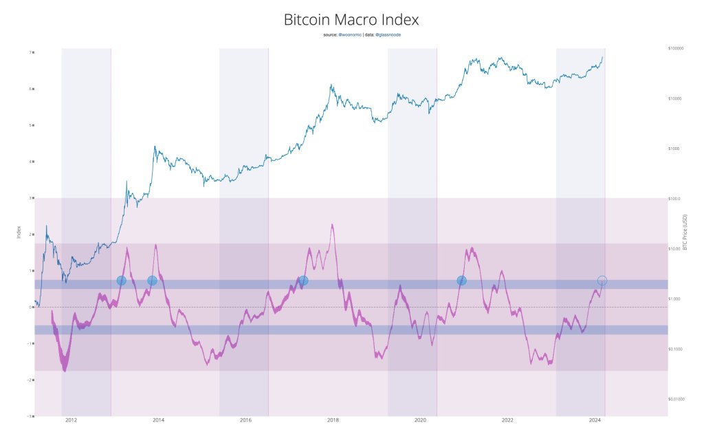 Bitcoin Macro Index chart | Source: Willy Woo on X