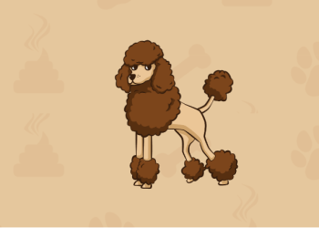 Here’s The Next Big Meme Coin: Poodl Inu (POODL), A New Token Ready To Take On DOGE and SHIB