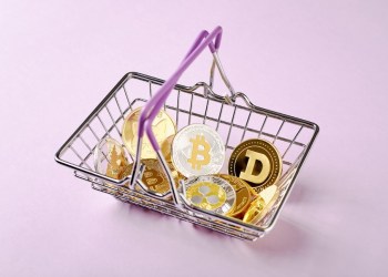 Entry Level Crypto Guide: 3 Coins to Kickstart Your Investment Journey