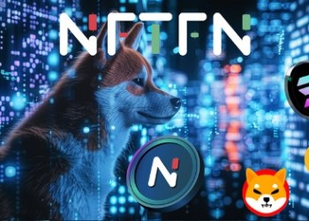 Make Your Mark in the Crypto World with NFTFN, BNB, Solana, and Shiba Inu as Your Assets