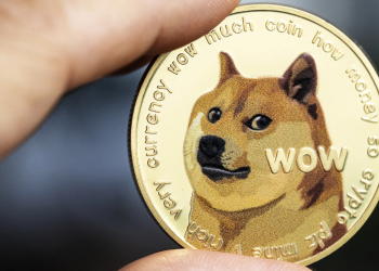 Join the Koala Frenzy: Ripple (XRP) & Dogecoin (DOGE) Enthusiasts Embrace the Newest Meme Coin During Market Corrections