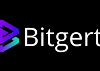 Bitgert’s Million-Dollar Story: How an Investor Turned $60 into a Staggering $2 Million