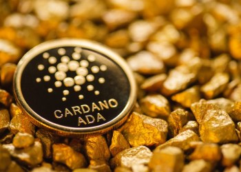 Hype Continues: Raffle Coin (RAFF) Attracts Frog Wif Hat (FWIF) and Cardano (ADA) Whales In Week 1 of Revolutionary Presale