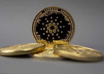 Best Time to Add to Your Crypto Holdings: Cardano (ADA), Shiba Inu (SHIB) and NuggetRush (NUGX) – Top Selections For 2024