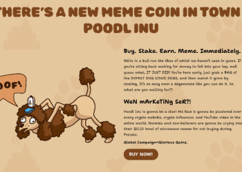 Poodl Inu (POODL) Is The Surprise Breakout Crypto Token of 2024, Presale Takes Off