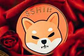 Ethereum Founder Vitalik Buterin Praises Shiba Inu Over Its Performance