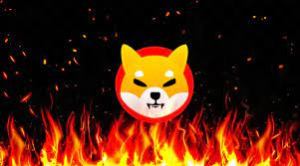 Shiba Inu Burn Rate Slows Down After Surge, Can SHIB Price Continue To Moon?