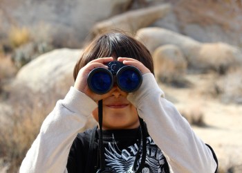 Best CEX for Tracking IEOs In 2024