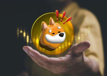 Bonk (BONK) Price Prediction: BONK New All Time High Dreams Crumble As New Meme Rival Takes Centre Stage