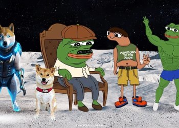 Pepecoin Rival To Burn 23.8% Attracting PEPE Holders to New Cryptocurrency