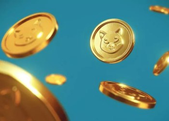 Top 3 Reasons Shiba Inu Investors Are Entering New SHIB Rival For Bull Run Gains