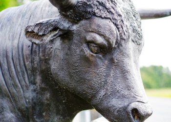 Top 4 underrated tokens and projects to look out for in this bull market