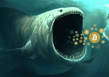 Bitcoin whales