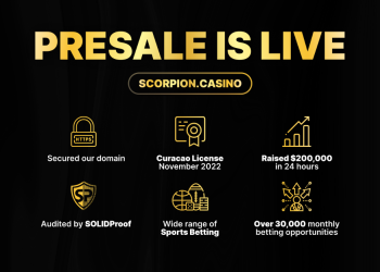 Which Cryptos Are Top Crypto Investors Buying? – BNB, Immutable & Scorpion Casino