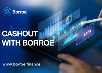 Unlock the Vault: Borroe Finance, Avalanche, and Ethena—The Trio Redefining Wealth in 2024!