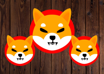 The Cuddly Appeal of Koala Coin (KLC) Draws Attention from Shiba Inu (SHIB) and Book of Meme (BOME) Fans