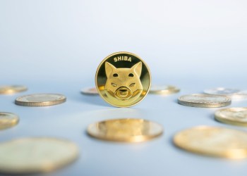 Best Time to Boost Your Crypto Holdings: Cardano, Shiba Inu, and NuggetRush