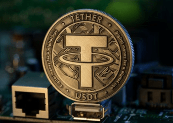 The Koala Coin (KLC) Presale Hype: Gains Lure Dogecoin (DOGE) & Tether (USDT) Holders Globally for Early Price Eggs