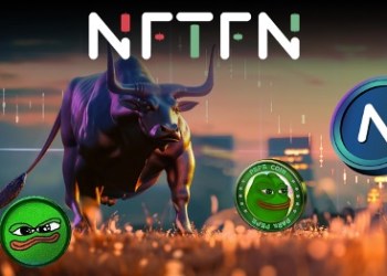2024 Bull Run Top Crypto: Why NFTFN Is a Better Investment Than Shiba Inu (SHIB)