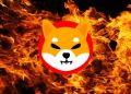 Shiba Inu