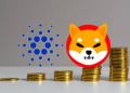 Cardano Shiba Inu