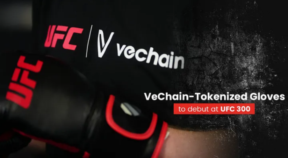 VeChain заключил партнерское соглашение с UFC на сумму 100 миллионов долларов – подробности