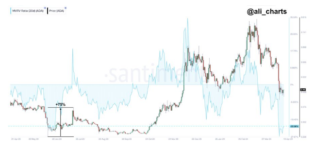 Bullish Cardano Metric Signals Upcoming 75% Rally Toward $1 - Ethers News -Daily Crypto currency Feed