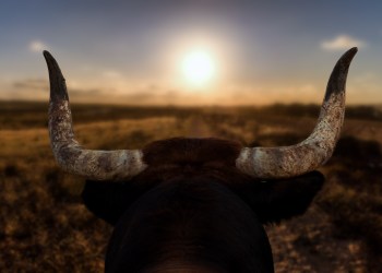 Bitcoin and crypto news