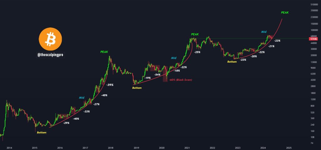 BTC historical retracements | Source: Analyst on X