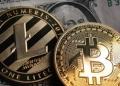 Litecoin Bitcoin