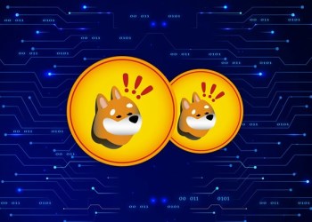 Bonk and Floki Set to Explode as New Meme Coin Player Rally in Presale