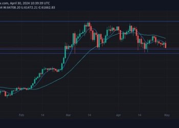 Bitcoin’s Halving Aftermath: Unveiling Market Shifts and Protocol Innovations