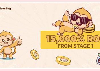 Which Coin Will Explode Next: MoonBag, Avalanche or Dogecoin?