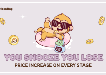 Moonbag Coin Presale: Your Steady Choice Over Floki and Babydoge’s Volatility