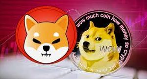 Dogecoin Holders In Profit across 82%, What About Shiba Inu?