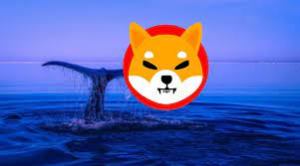 Shiba Inu Whale Moves 1.7 Trillion SHIB As Price Struggles, Where Are They Headed?