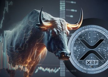 XRP bull
