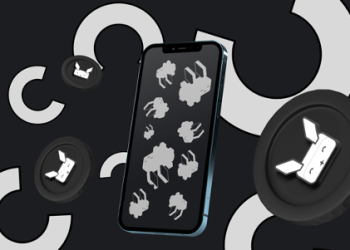 Raboo Dominates The Meme Coin Market, Can Dogecoin And Pepe Keep Up?