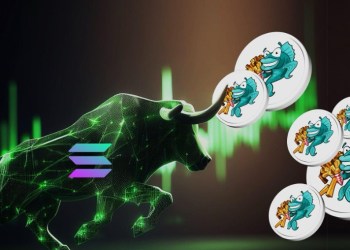 Is CHIPPY The Top Pick For The Upcoming Bull Run?