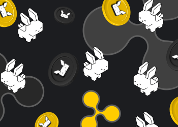 Update on the Xrp Court Case! Polygon Holders Excited About New 100X Altcoin Raboo!