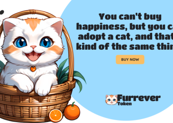 Shiba Inu and Solana Struggle While Furrever Token Promises Big Returns: Join Now with Referral Code