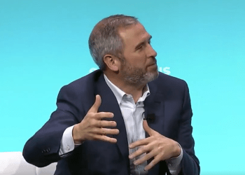 Ripple CEO Dogecoin critic