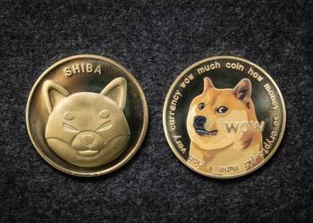 Shiba Inu