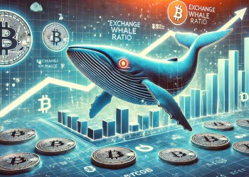 Bitcoin Whales