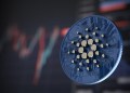 Cardano News